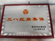 韶关市三八红旗集体