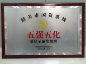 市国资委 “五强五化” 基层示范党组织